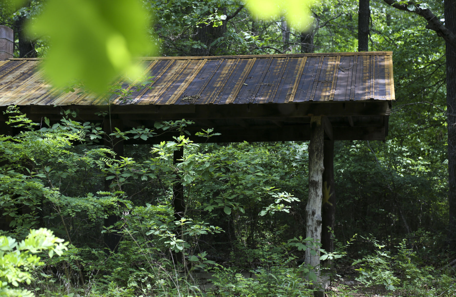 camp scott girl scout murder